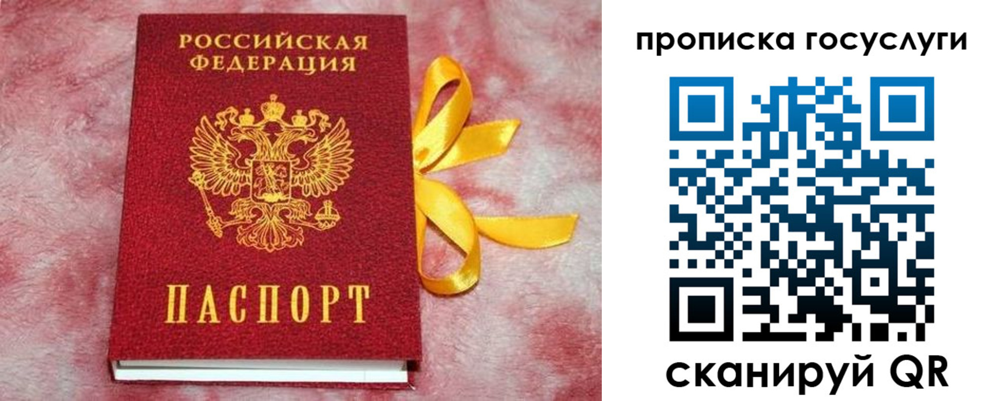 прописка законно в Чехове